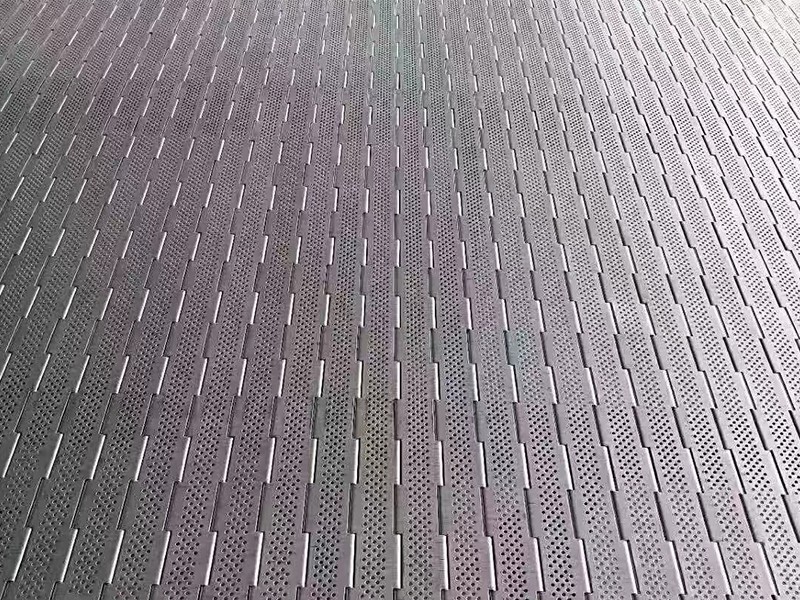 傳送鏈板樣品